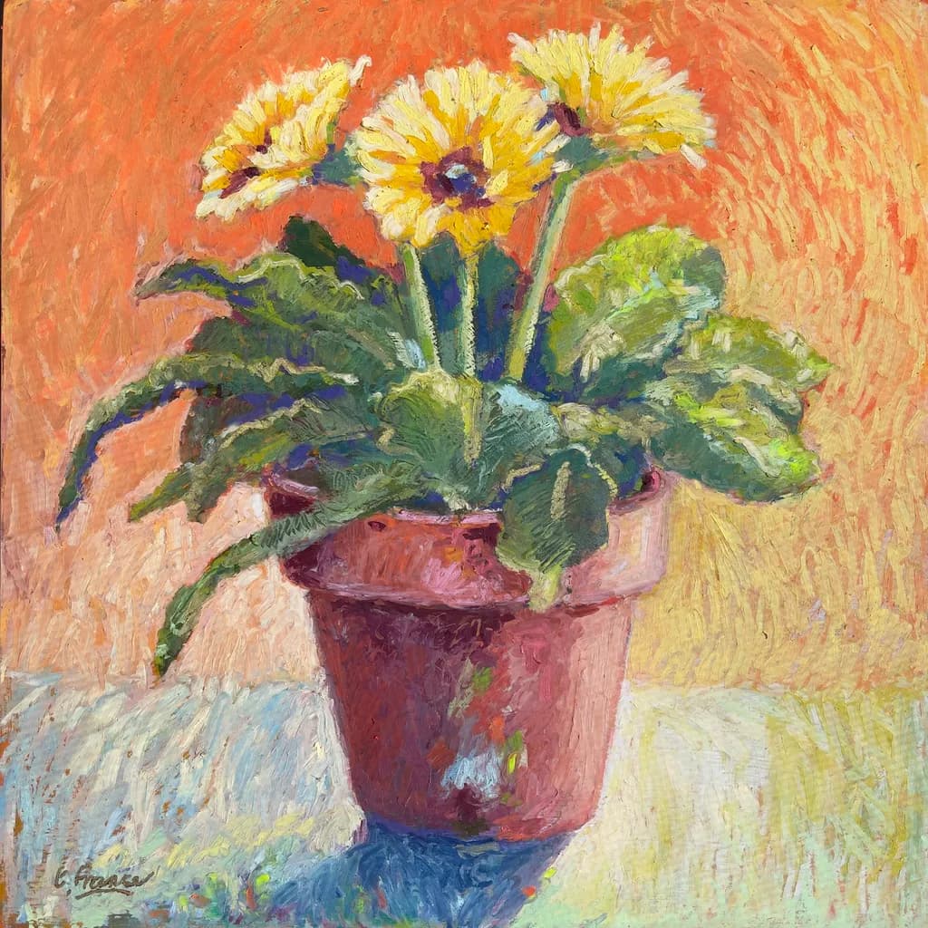 Gerbera Love