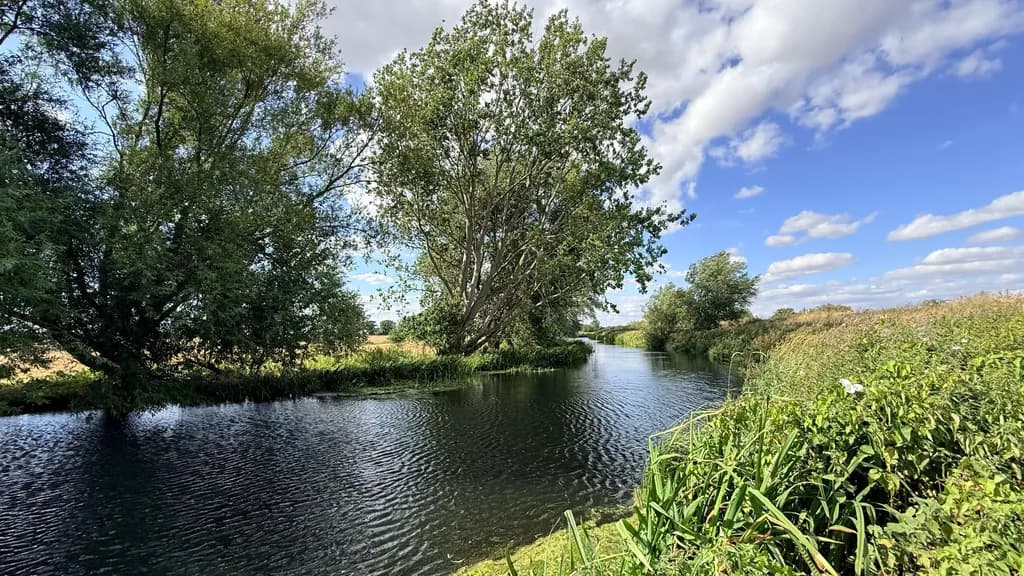 Riverbank Landscape