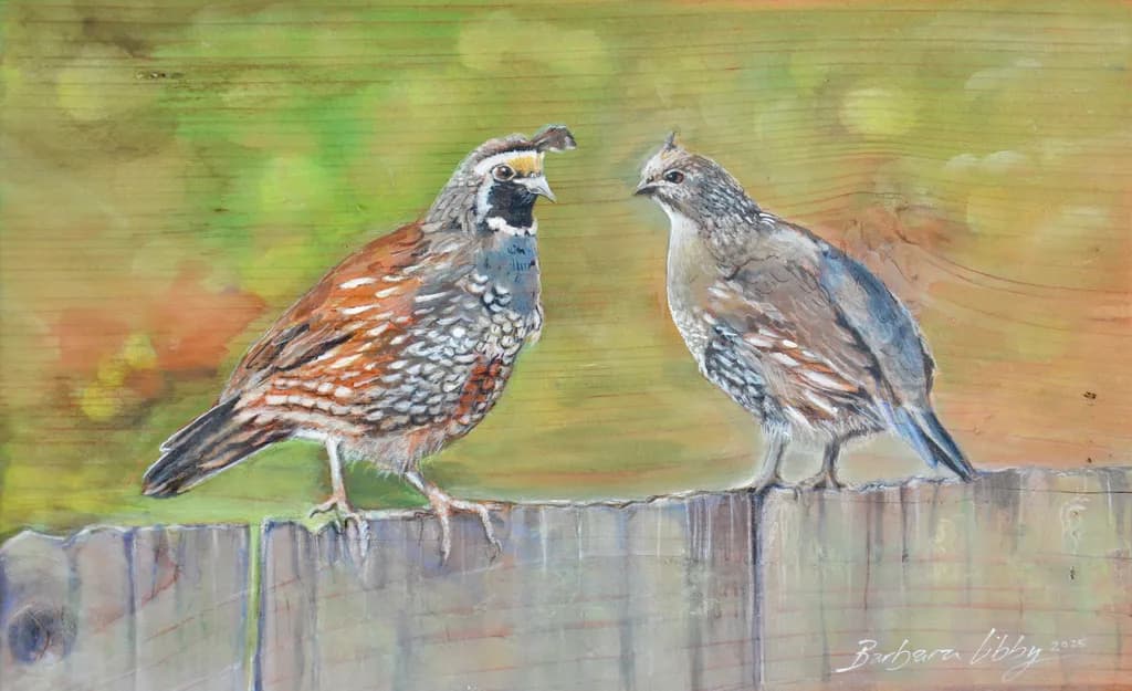Quail Companions