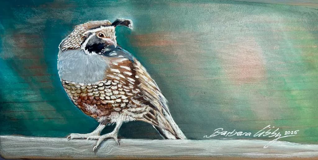 Quail in Tranquility