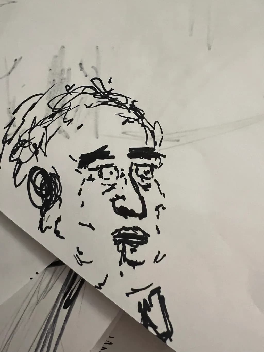 Whimsical Portrait: A Playful Exploration of Expression and Emotion