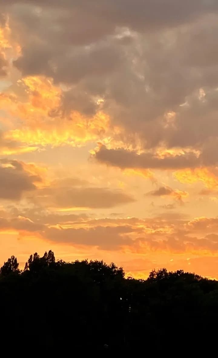 Whispers of Twilight: A Serene Sunset Over the Horizon