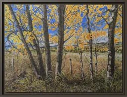 Where The Aspen Turn Gold