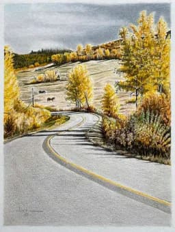 Curves of Colour