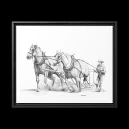 Harry's Team - Framed Canvas Wrap