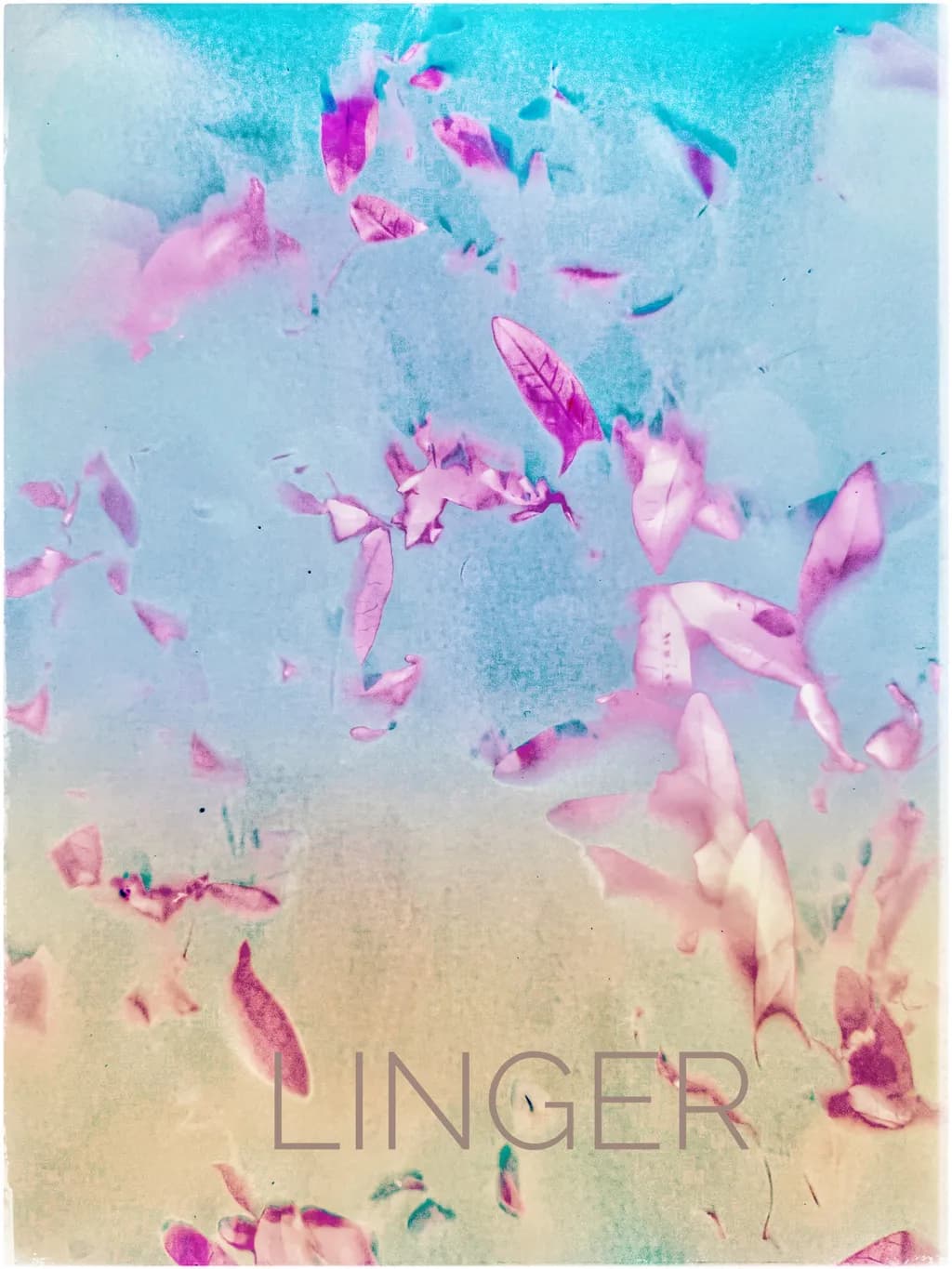 Whispers of Nature: A Dreamy Dance of Leaves and Light