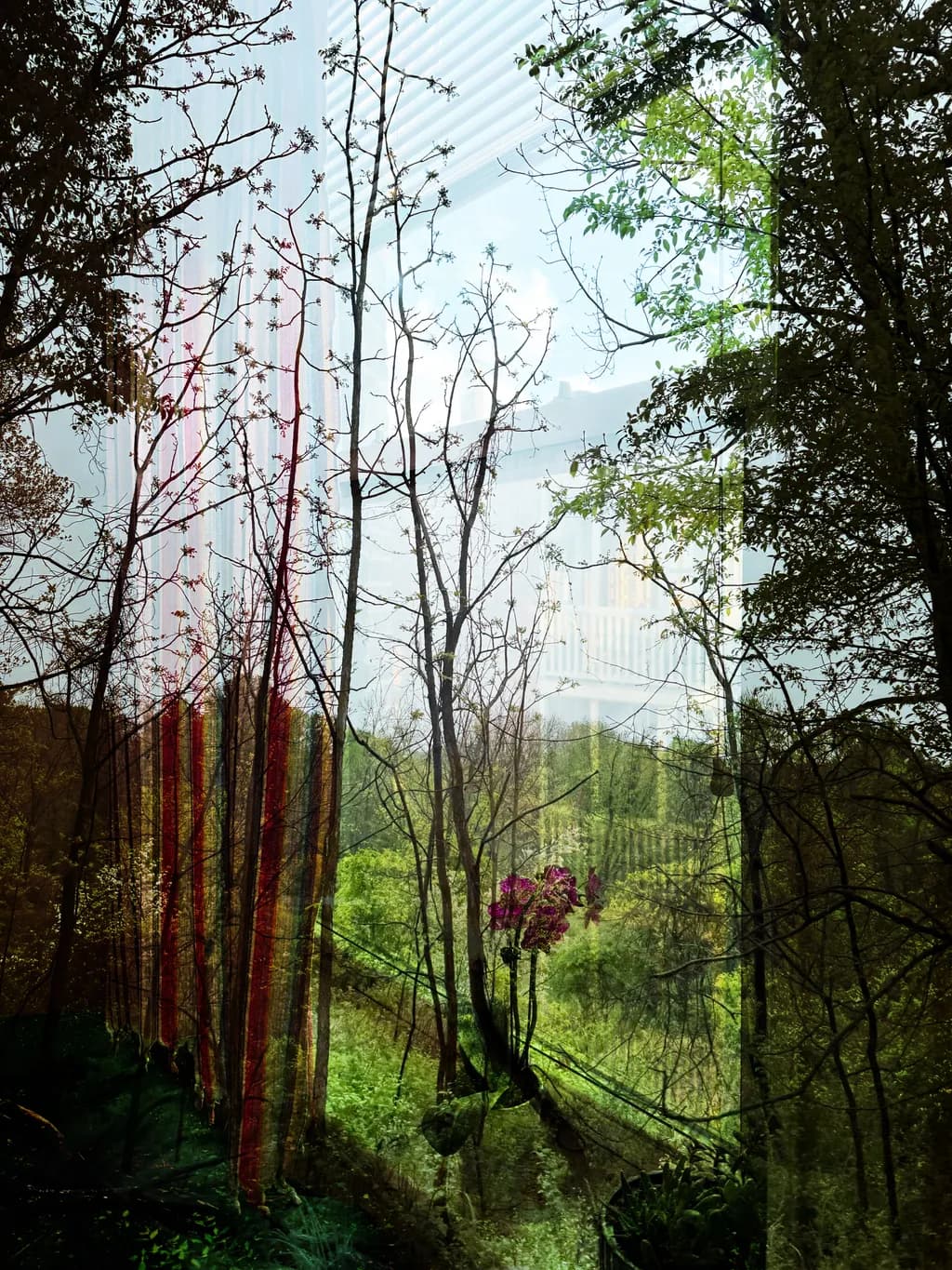 Whispers of Nature: A Harmonious Blend of Urban and Wilderness