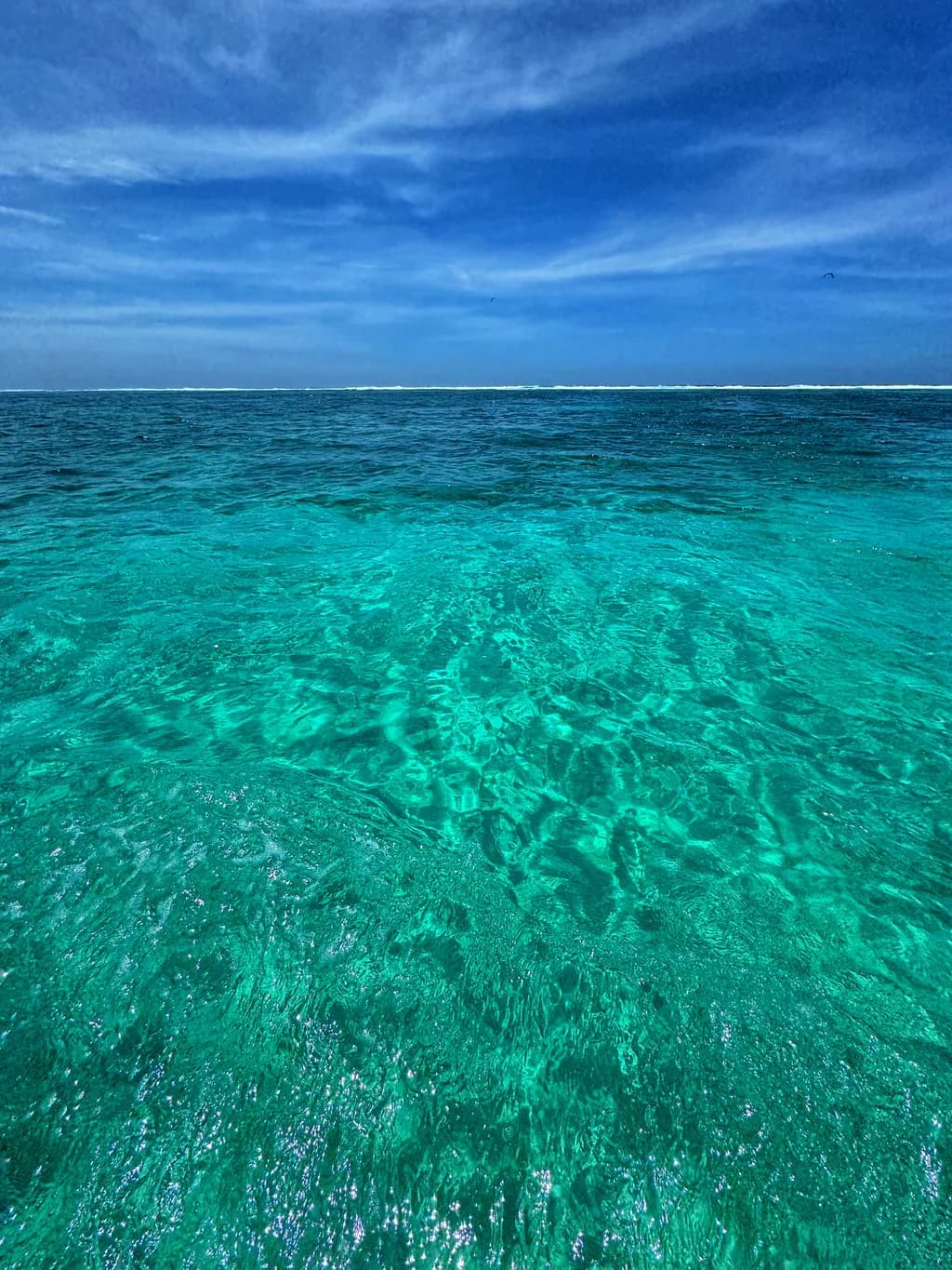 Serenity Beneath the Waves: A Tranquil Ocean Escape