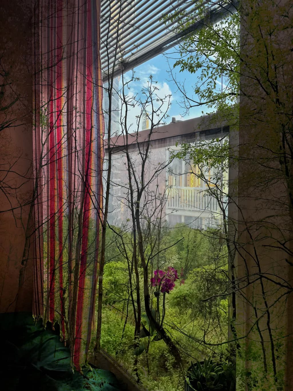 Urban Oasis: A Tranquil View Through the Window of Nature's Embrace