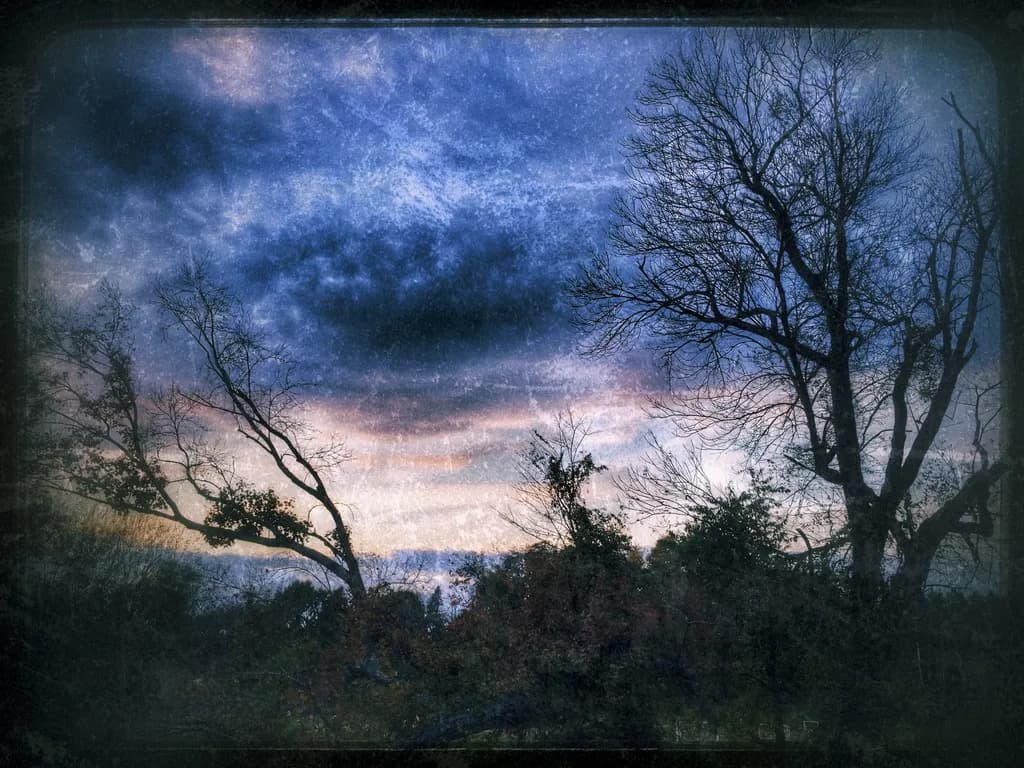 Twilight Silhouette