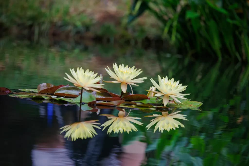 Floating Trio