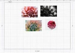 Flower Wall Collage