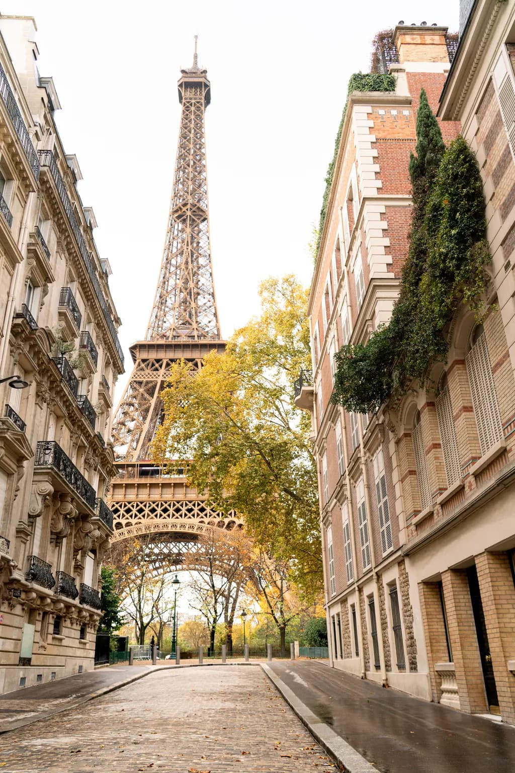 Autumn in Paris