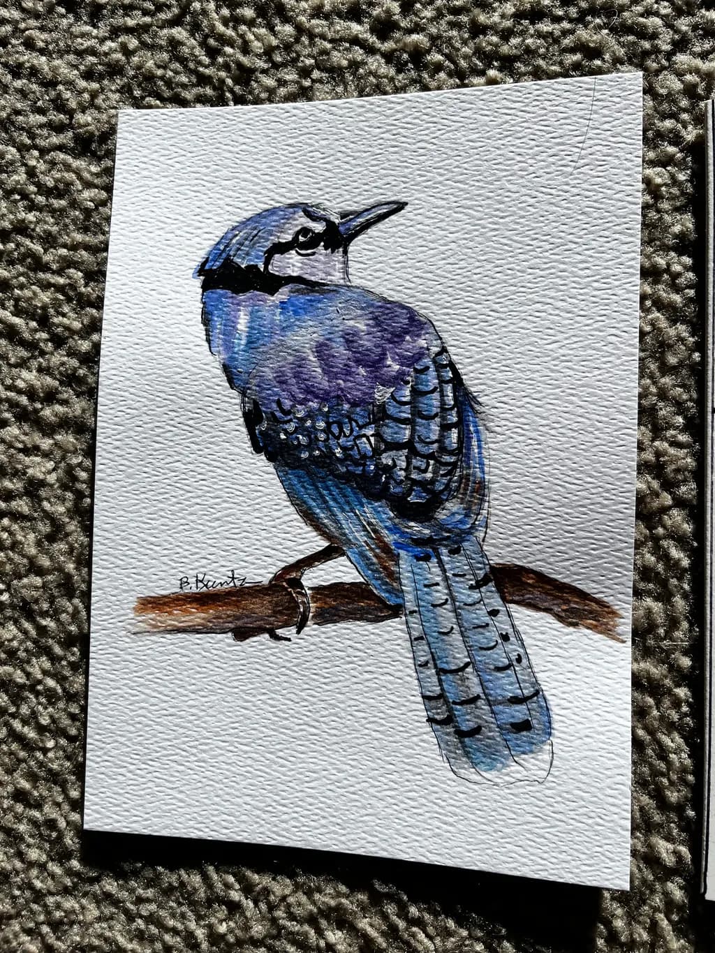 "Whispers of the Blue Jay - Watercolor on Paper - 8x10 - $150"