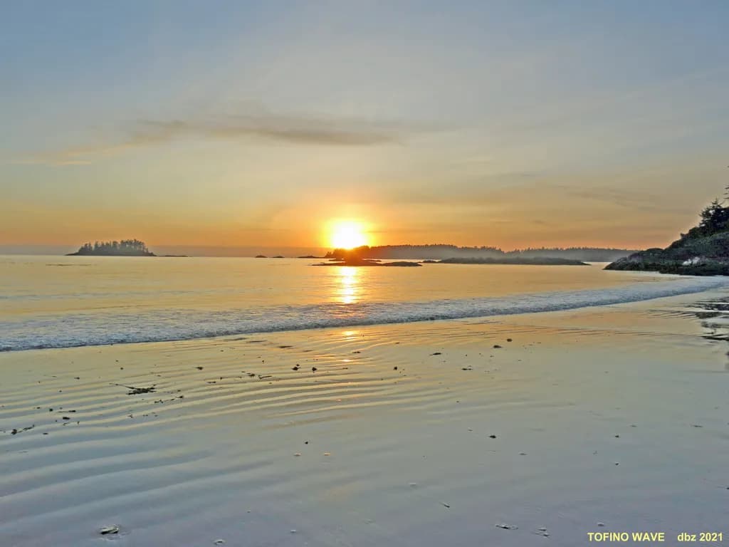 Tofino Wave