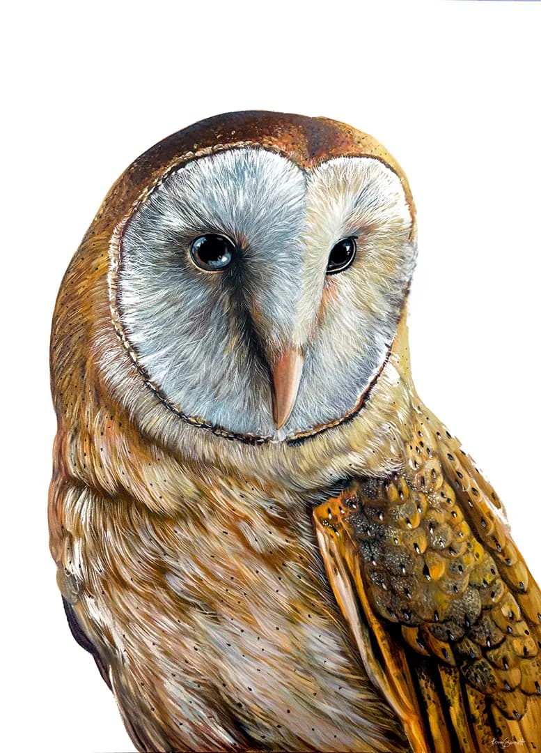 Whimsical Wisdom: A Barn Owl's Portrait That Speaks Volumes!
