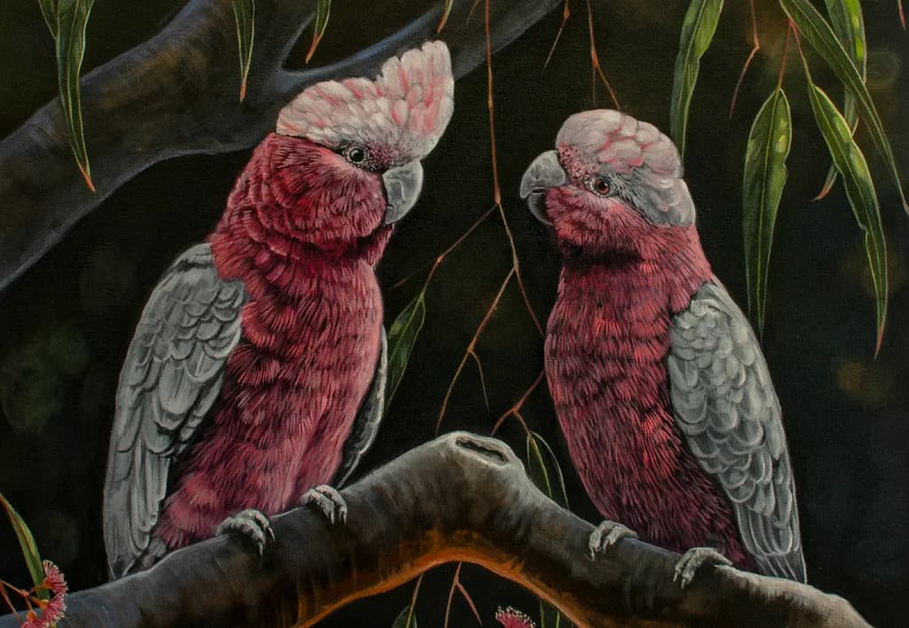 Whimsical Conversations: Two Galahs Chit-Chatting on a Branch!