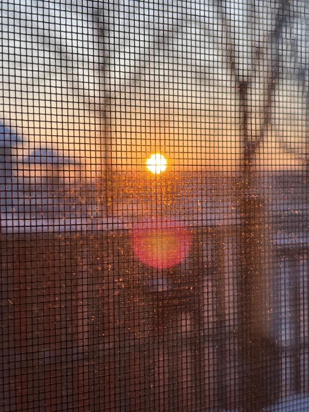 Golden Horizon: A Serene Sunset Through the Screen of Everyday Life