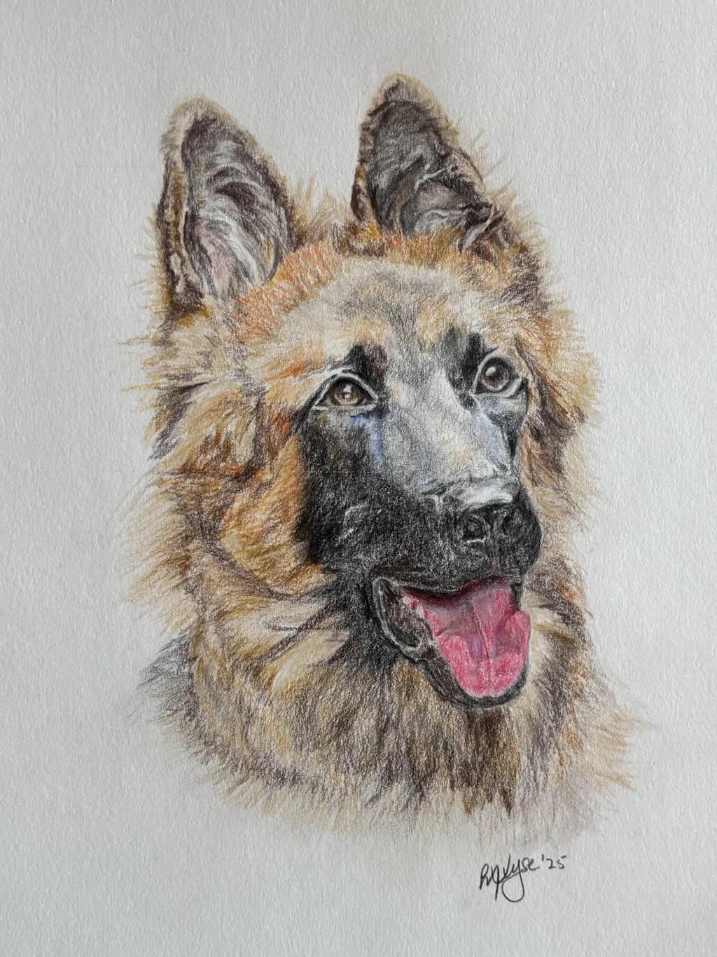 Vibrant Canine Portrait: A Realistic Expression of Joy and Loyalty