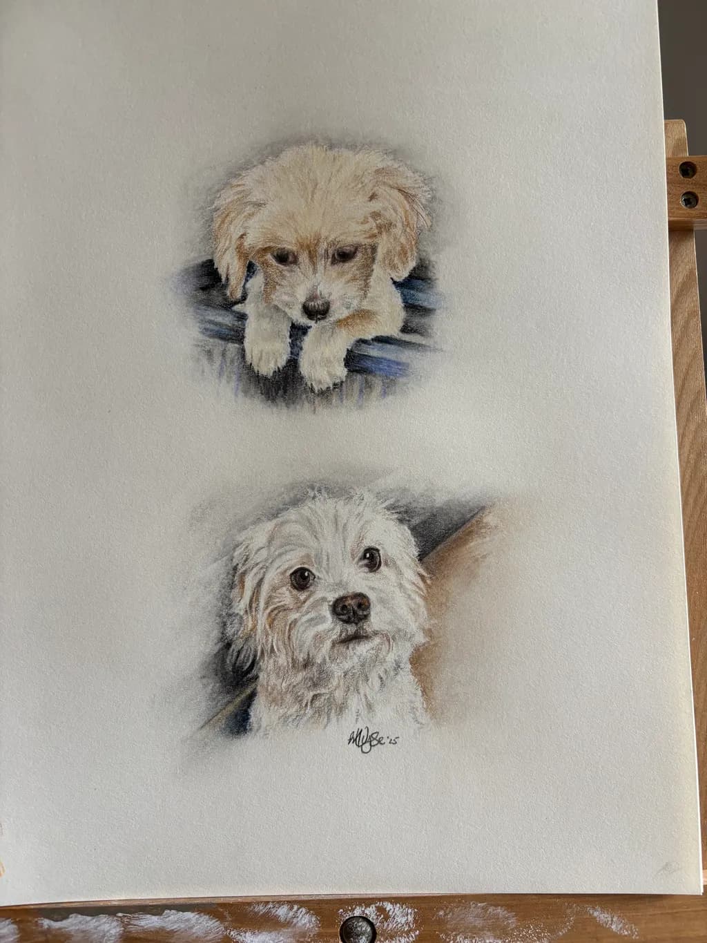 Whimsical Portraits of Adorable Puppies: A Heartwarming Sketch Collection