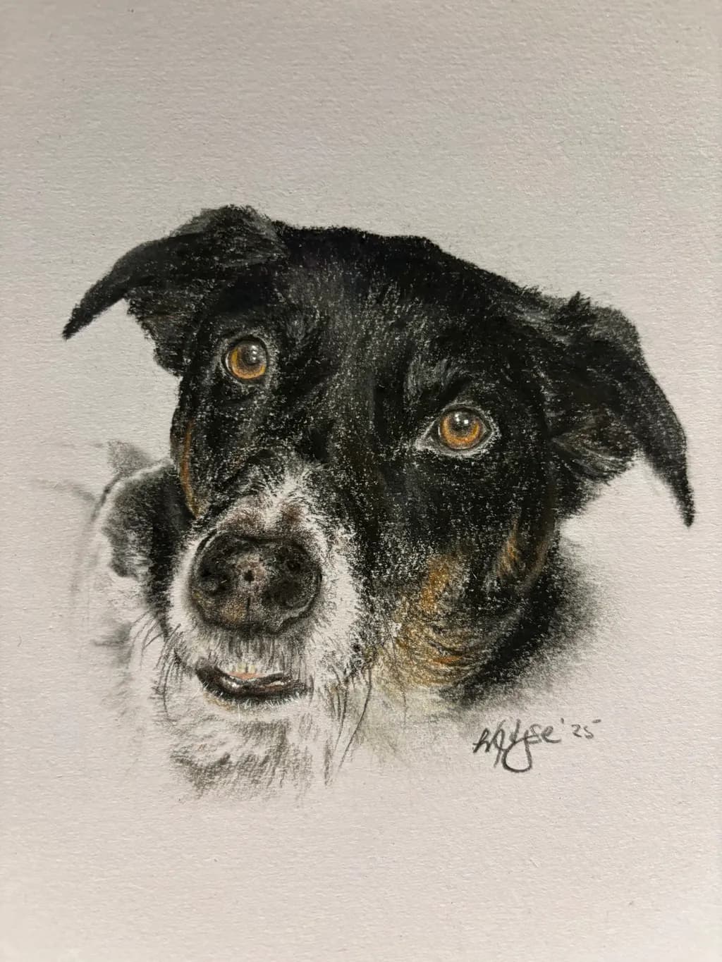 Whiskers and Whimsy: A Heartfelt Portrait of a Beloved Canine Companion
