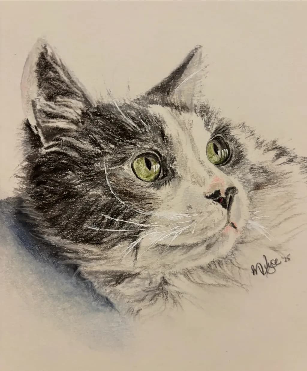 Whiskered Wonder: A Captivating Portrait of a Feline Friend