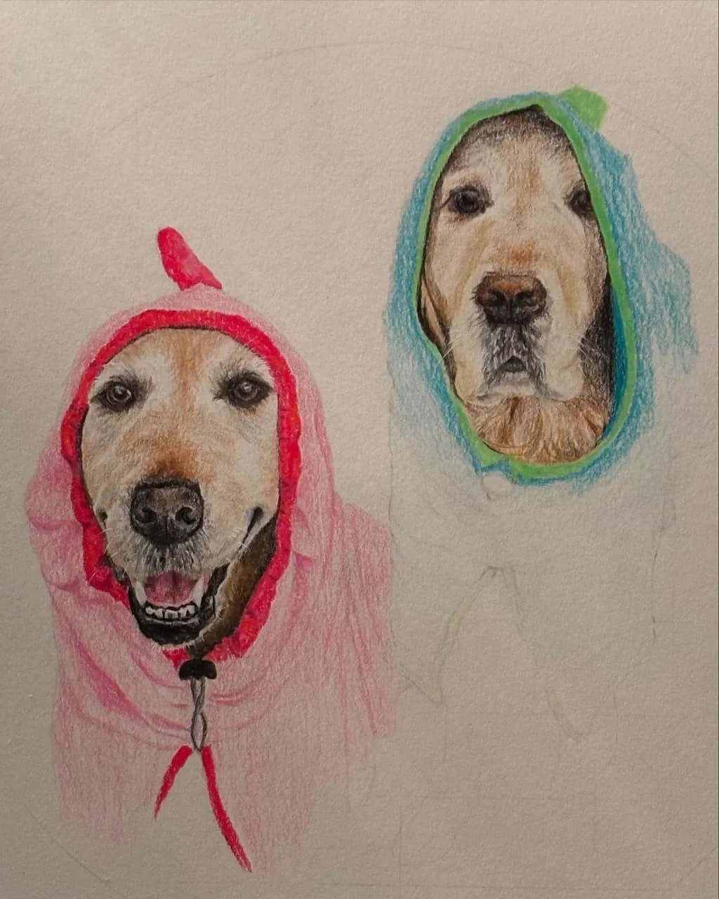 Whimsical Canine Companions: Golden Retrievers in Colorful Hoodies