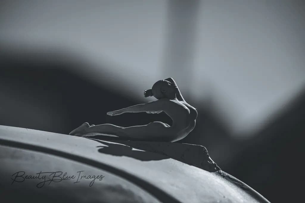 Graceful Monochrome: An Abstract Dance of Form and Emotion