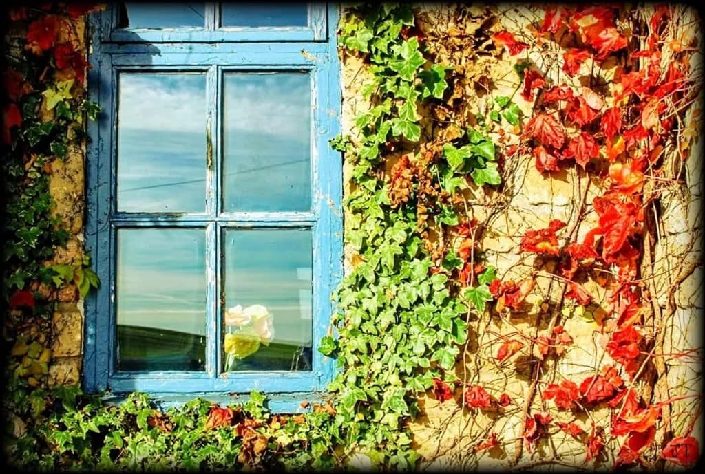 Blue Window