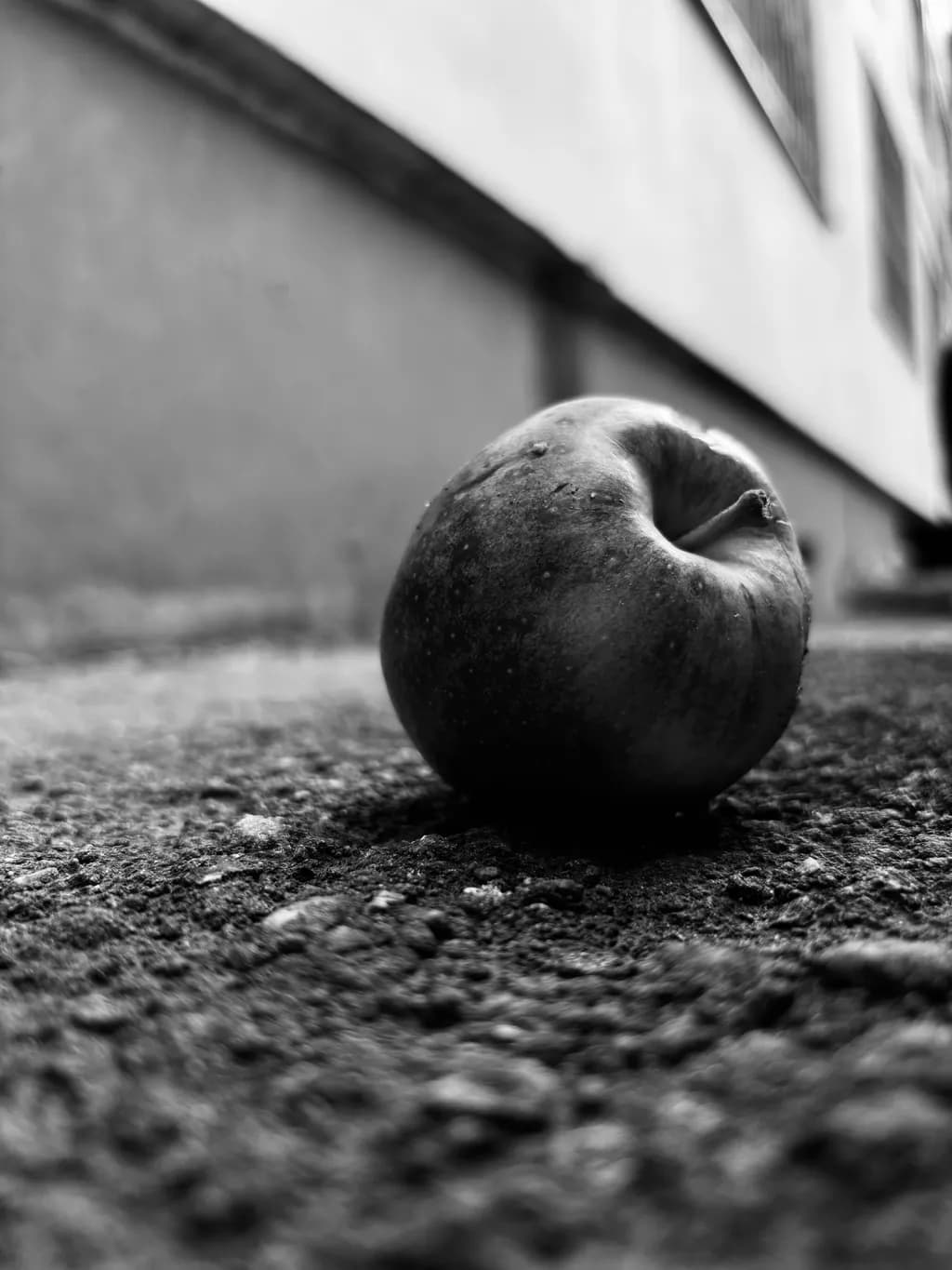 Abandoned Beauty: A Black-and-White Still Life of a Forgotten Apple on the Ground