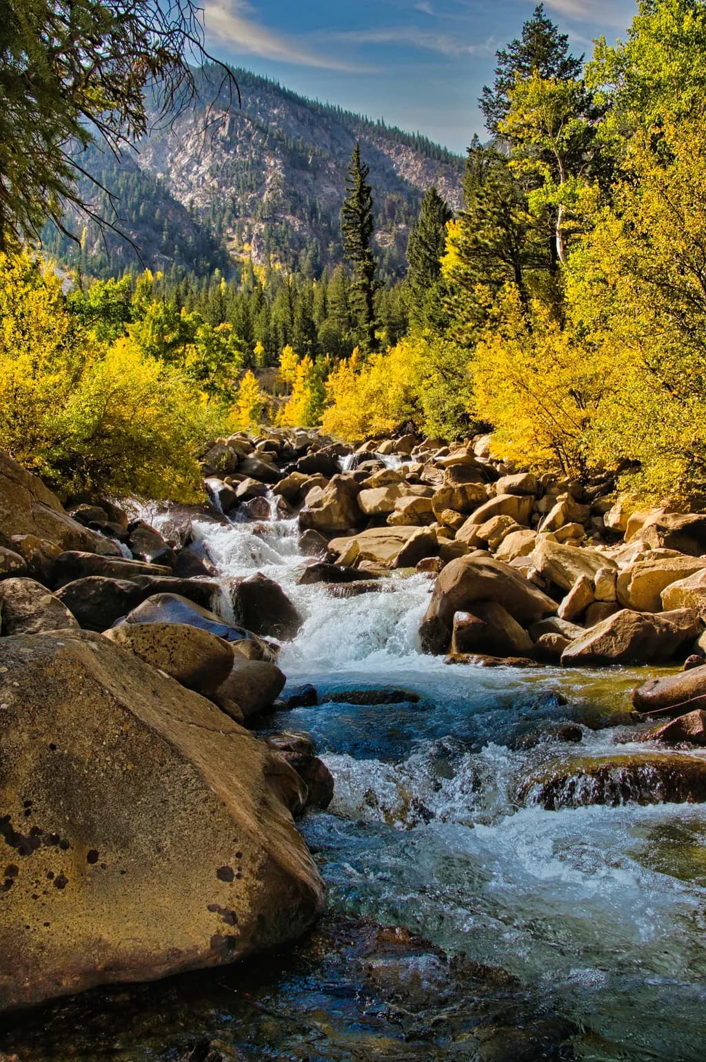 Whispers of Autumn: A Serene Mountain Stream Amidst Golden Foliage