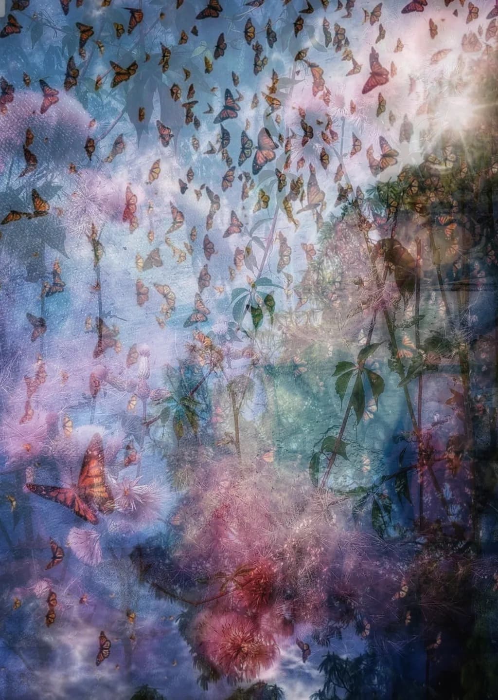 Whispers of Nature: A Dance of Colorful Butterflies Among Ethereal Blooms
