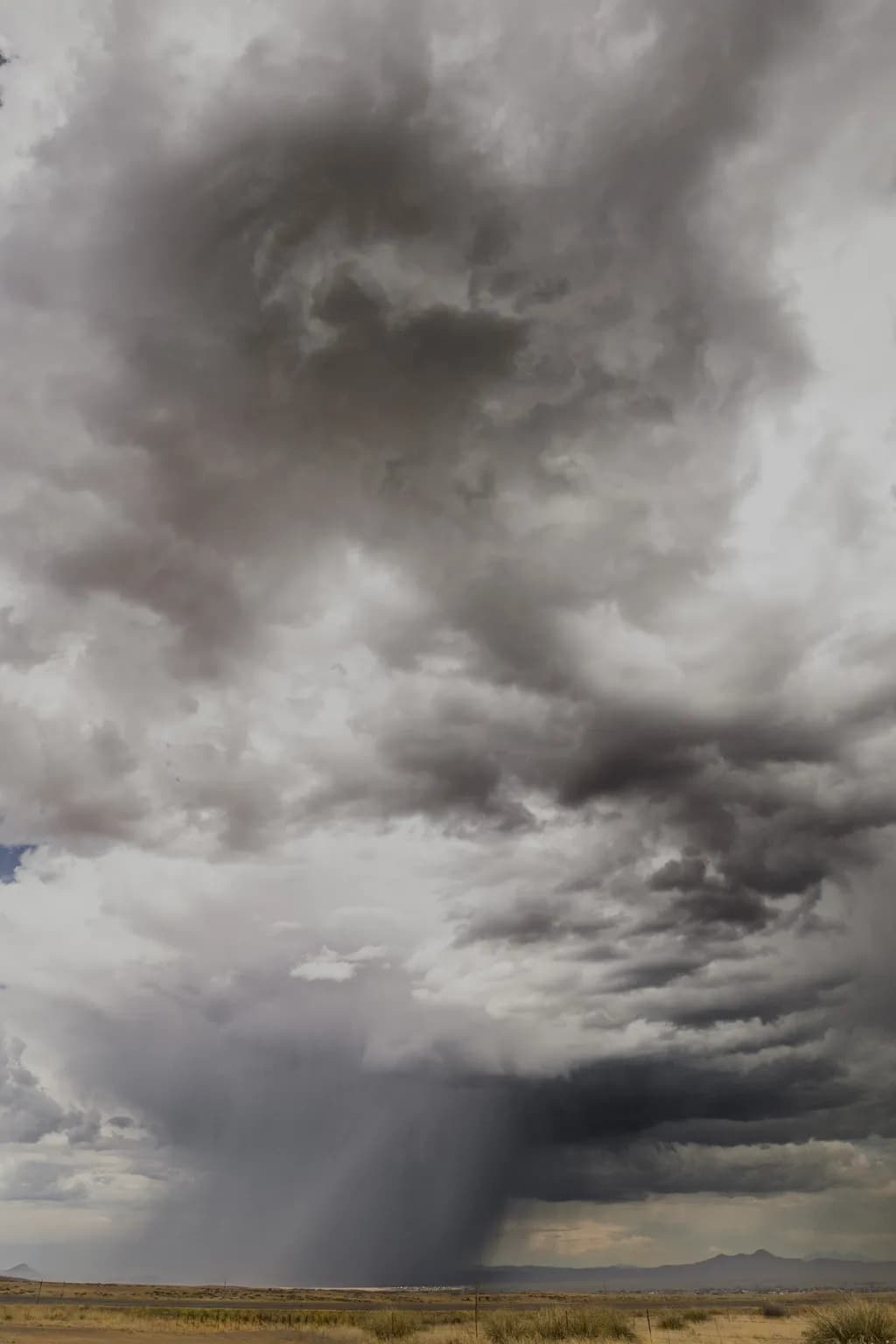 Desert Downpour