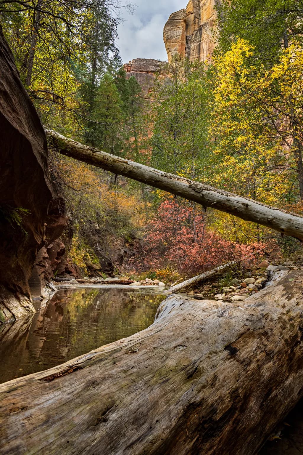 After the Fall