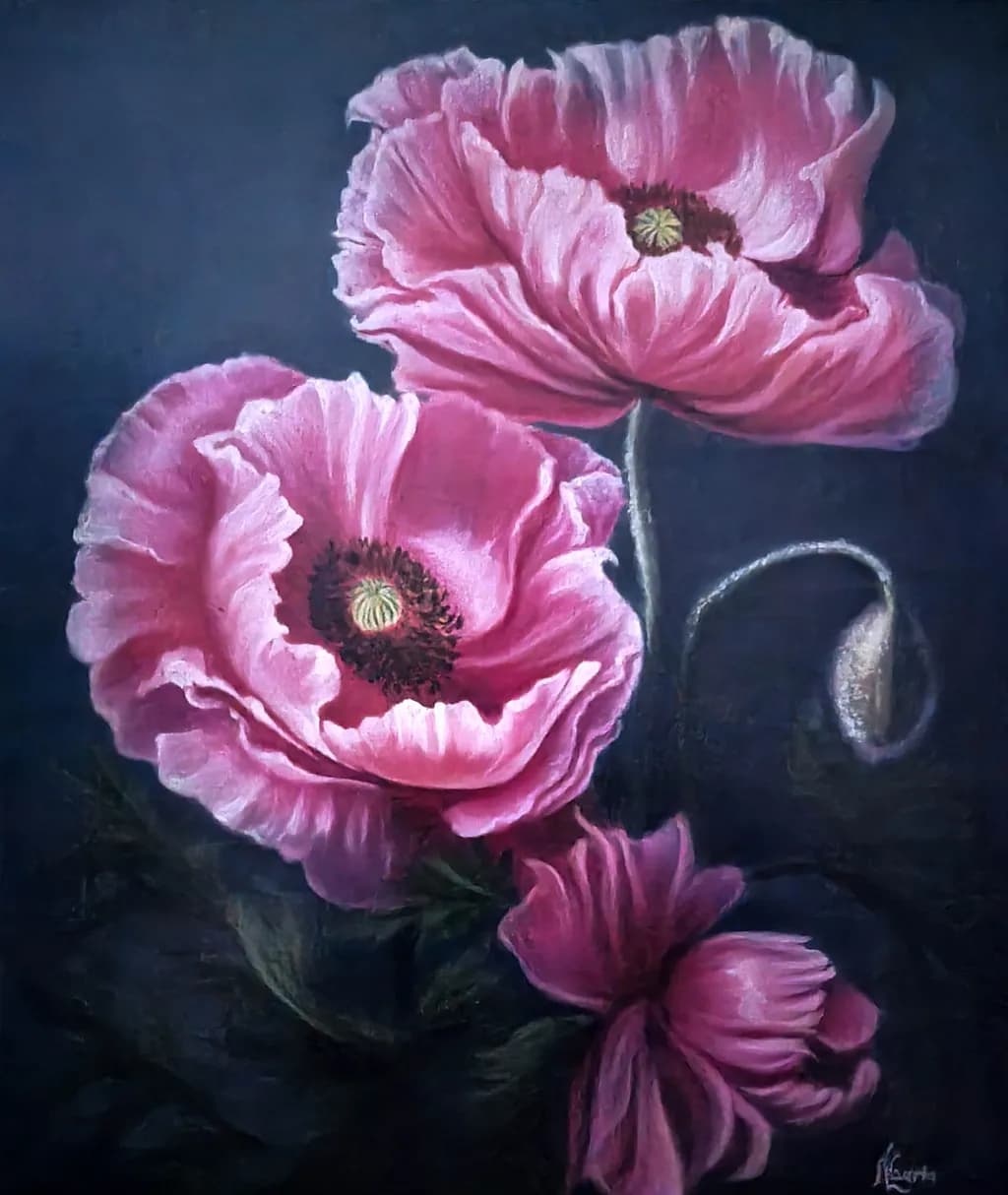 Whispers of Pink: A Lush Poppy Bloom in Twilight Hues
