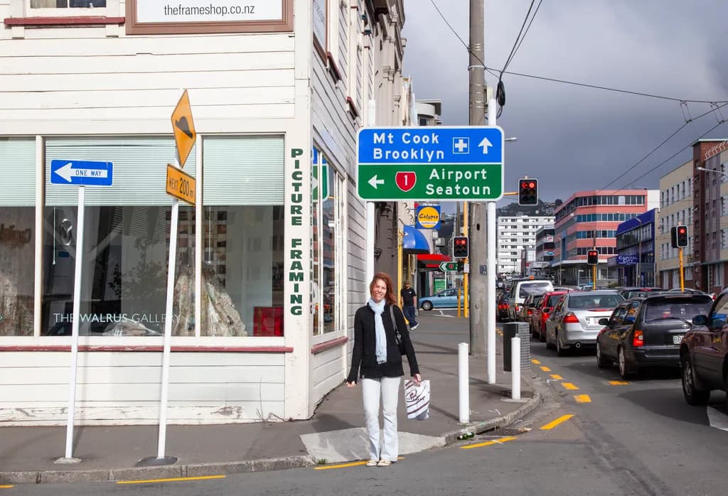 Urban Street Crossing