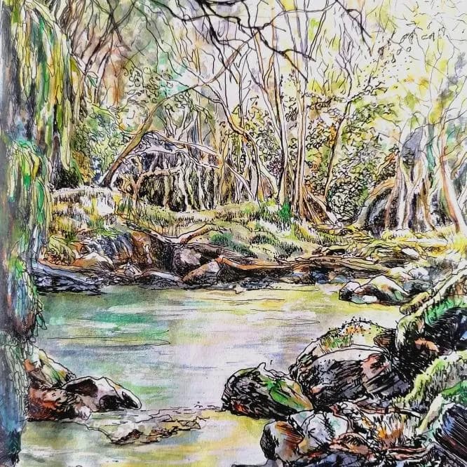 Whispers of Nature: A Serene Stream in the Heart of the Forest