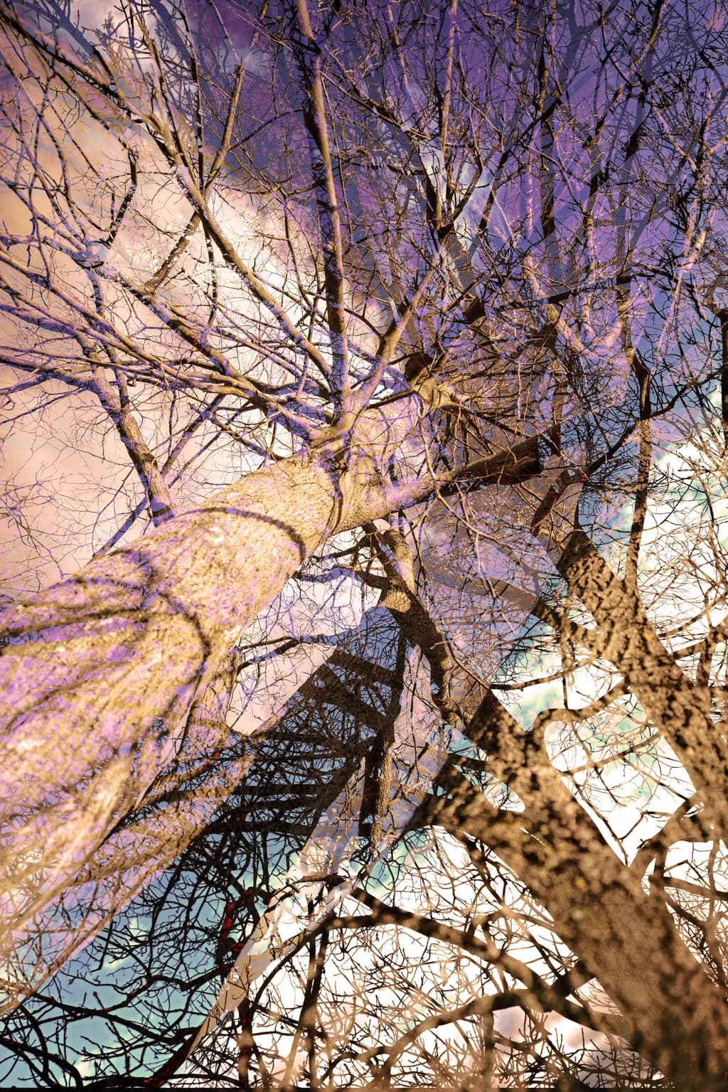 Whispers of Reflection: A Dance of Shadows and Sky