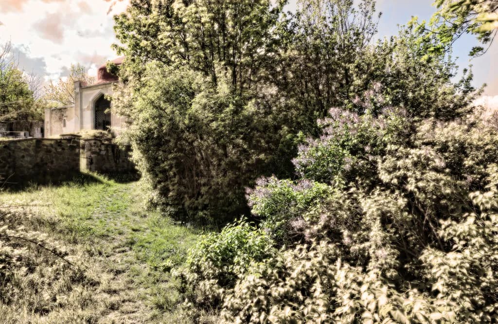 Whispers of Nature: A Serene Pathway Through Lush Greenery and Blossoming Lilacs