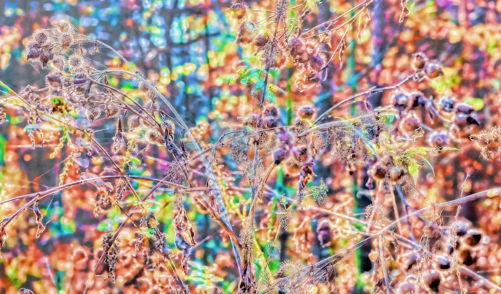 Vibrant Whispers of Nature: An Abstract Exploration of Color and Texture
