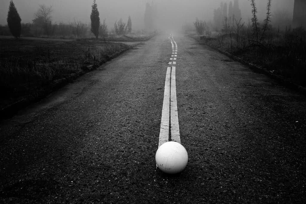 Lost in Fog