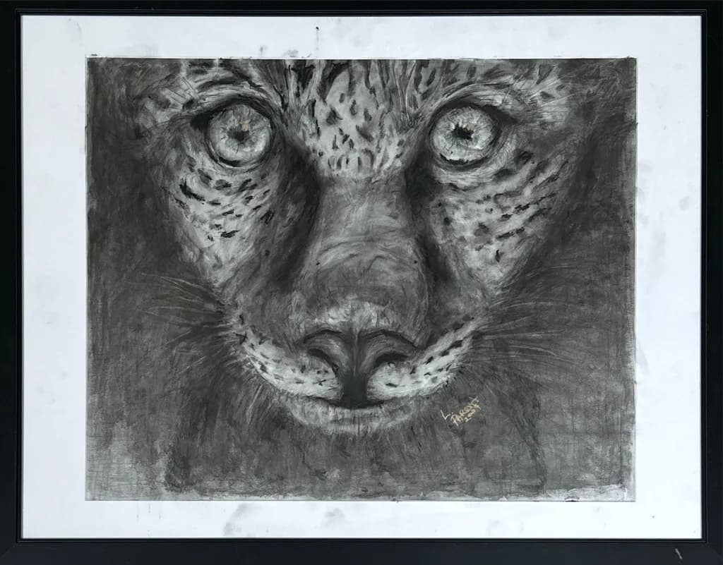 Leopard Gaze