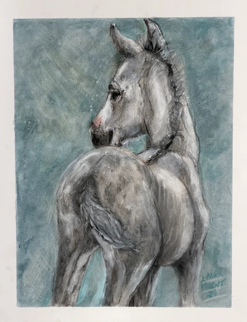 Young Foal Profile