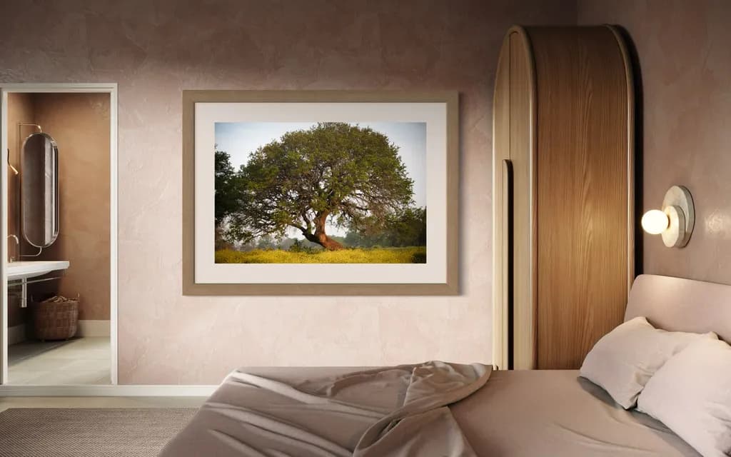Whispers of Nature: The Majestic Tree in Tranquil Harmony