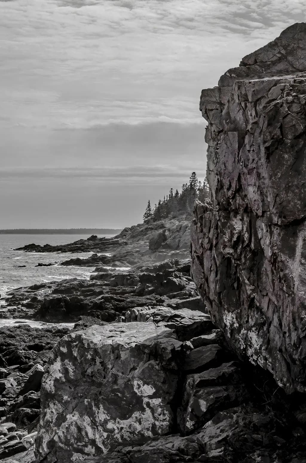 Beach Cliff