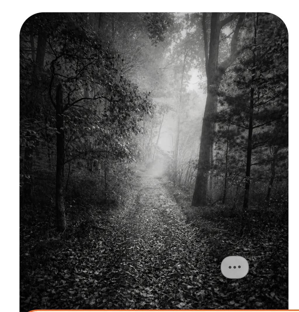 Quiet Path