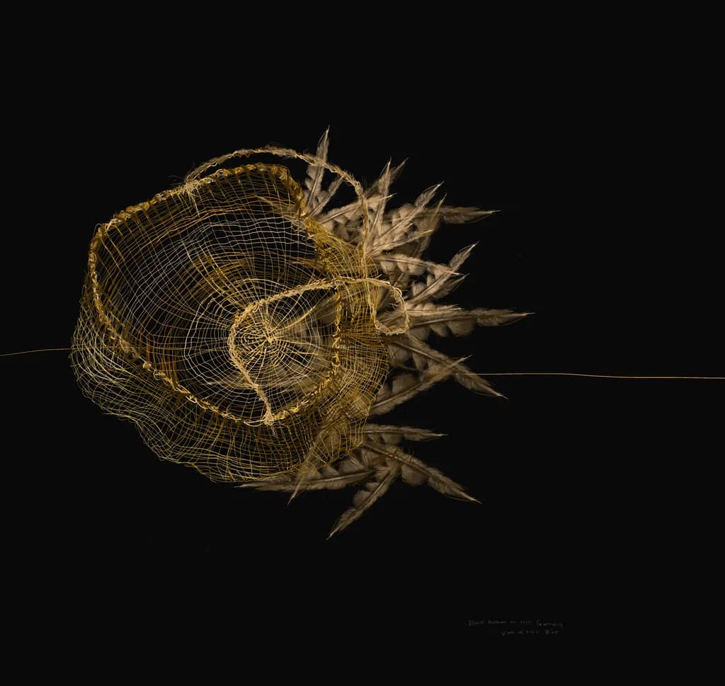 Feather Basket