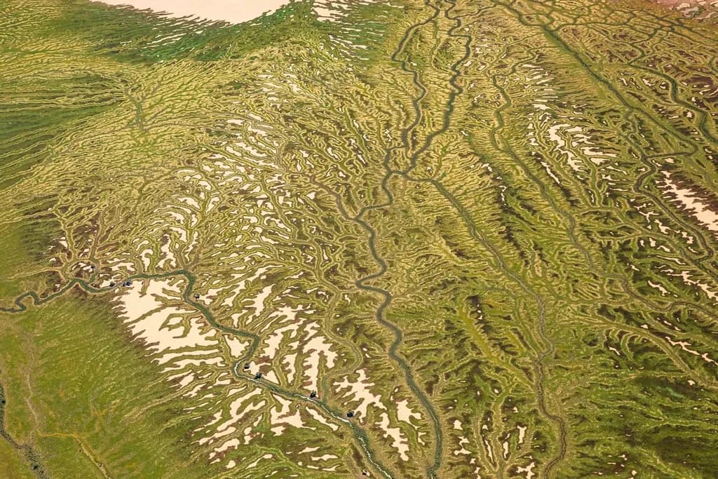 Meandering Landscapes