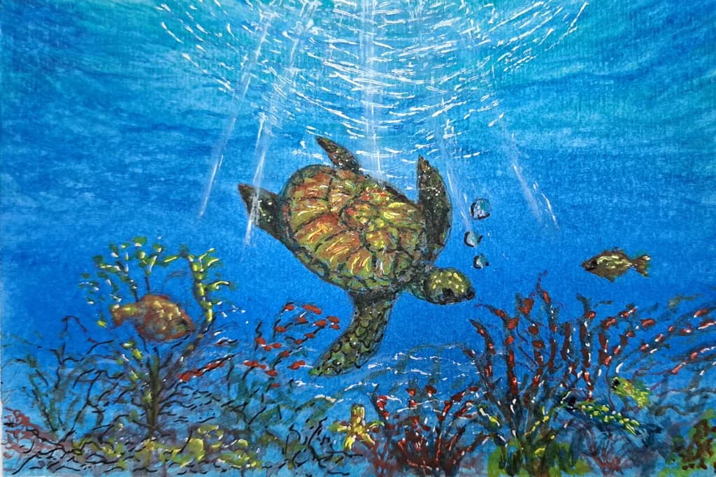 Serene Underwater Dance: A Turtle's Journey Through Coral Reefs