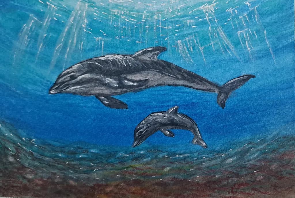 Dancing in the Deep: A Serene Encounter with Dolphins